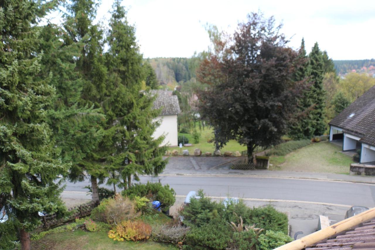 Mitten In Braunlage Mit Tollem Ausblick 外观 照片